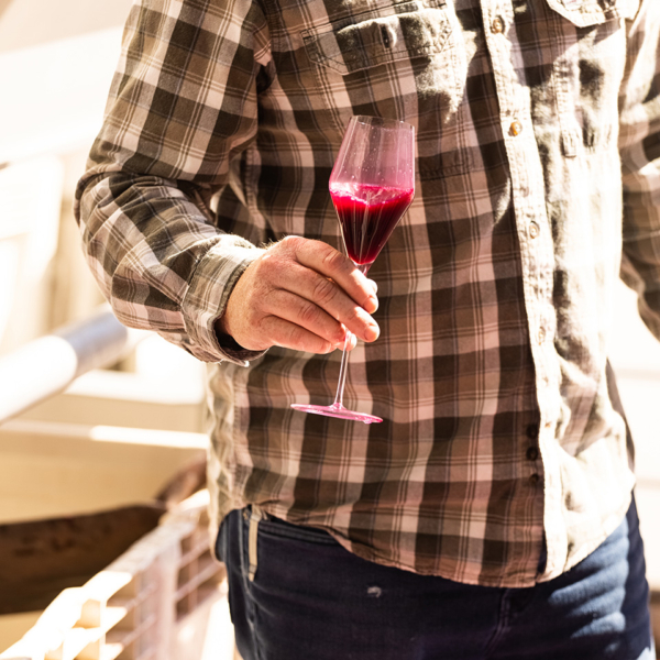 Winemaker tasting young red wine