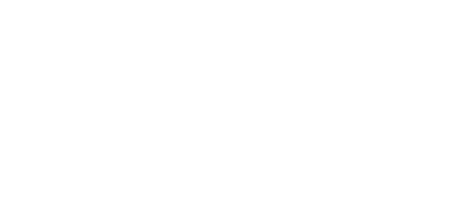 ZANOLI Wines Scrolled light version of the logo (Link to homepage)