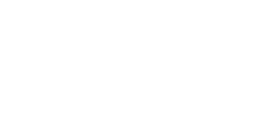 ZANOLI Wines Scrolled light version of the logo (Link to homepage)